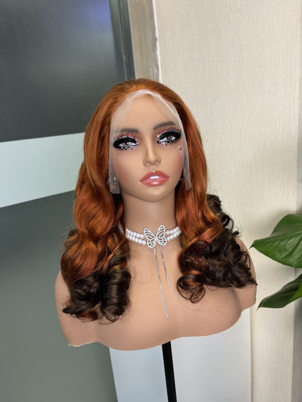 #350/4 Ombre Double Drawn Bouncy Curl 13x4 Transparent Lace Full Frontal 300% Density Wig - Image 3